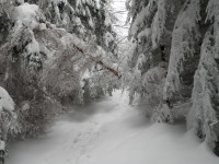 hřebenovkou na Libín, 13.2.2010