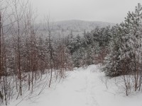 hřebenovkou na Libín, 13.2.2010