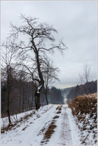 17-Cesta z Mokřin na Žďárky