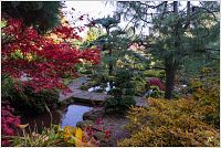 25-Japonská zahrada Jarków