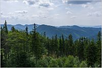 22-Dzikowiec, výhled z rozhledny na Stožek Wielki a Góry Suche (Wlostowa, Kostrzyna, Suchawa)
