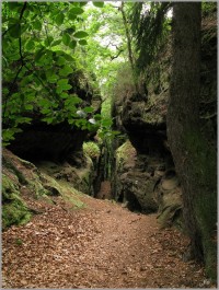 15-Cesta ke skalnímu hradu Nedamy