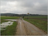18-Křížení se zeleně značenou cestou. Vlevo do Kunčic, rovně do Zvíkova.