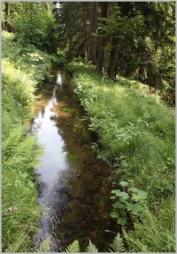 5-Vodní kanál v Úhlavském údolí