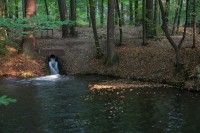 Sopřečský kanál, jeden z přítoků rybníka Černý Nadýmač