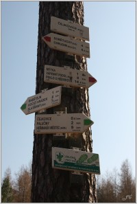 Turistické rozcestí nad Čejkovicemi