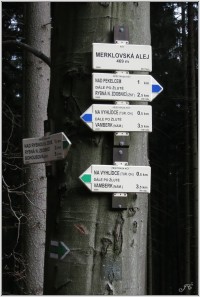 Turistické rozcestí Merklovská alej