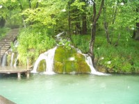 Romantické mechové vodopády