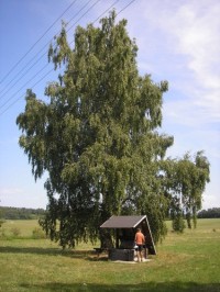 Studna v osadě Hrabiny