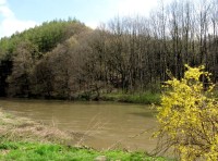 Jarní řeka Opava