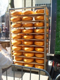 Sýr čeká na naložení do kamiónu
