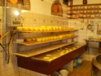 Výroba sýra na farmě