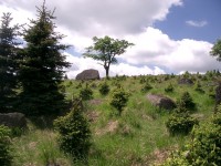 směr na Medvědí skálu