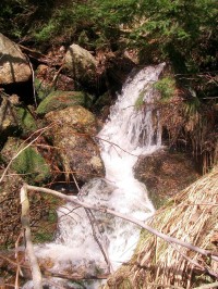 Jedlový vodopád na Kundratickém potoce