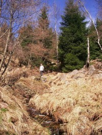 svah s potokem pod jedlákem