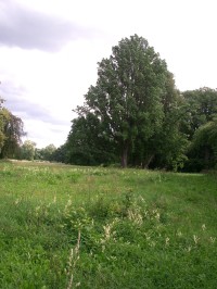Arboretum Vintířov