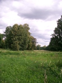 Arboretum Vintířov