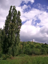 Kaple Panny Marie Pomocné - Vintířov