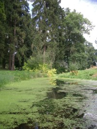 arboretum Chyše