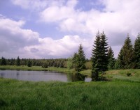 Pohraniční rybník u Hory sv.Šebestiána