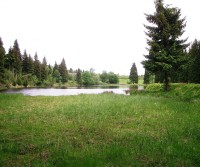 Hraniční rybník u Hory.sv.Šebestiána