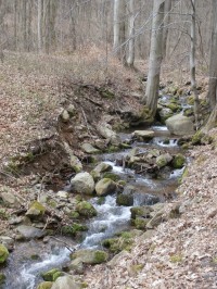 Domaslavický potok