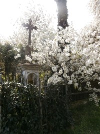 "Kvetoucí kříž" v Sebuzíně