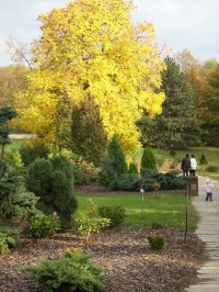 Venkovní park v Botanické zahradě