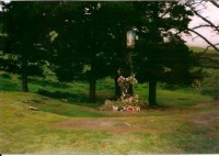 Křížovou cestou k devíti borovicím....