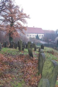 9.Pohled ze hřbitova ke statku