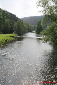 řeka Jihlava u Mohelna