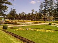 Nádherný park v Mohammedii