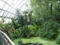 Botanická zahrada 2