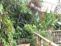 Botanická zahrada 1
