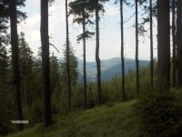 Výhled z lesa