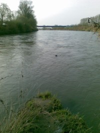 Meandry řeky Odry