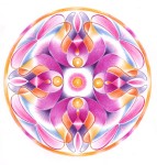 fotka uživatele vlmal