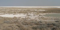 Etosha NP, solná pánev