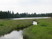 rybník Myslivna