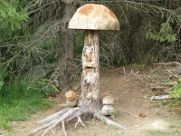 a i houby rostli