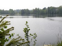 rybník Dolíška na jaře