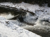 Bílý Halštrov - potok a jeho ledová krása