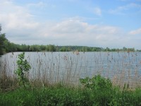 Pohled na rybník z turistické trasy