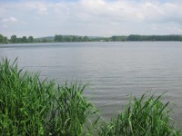 Pohled na chovný rybník