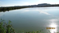 Přírodní památka: Heřmanický rybník