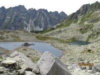 žabie plesa 1919 m.n.m.