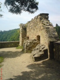 Zvíkov (hrad)