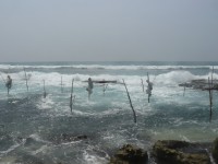 Rybáře na kůlech uvidíte jen na Srí Lance