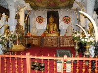 Buddhuv zub v Kandy