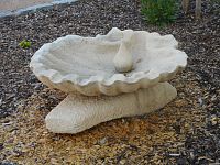 Přelouč - svatojakubská mušle